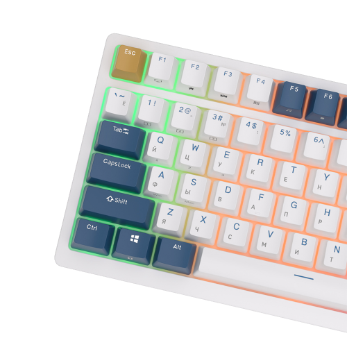 Клавиатура Royal Kludge RK98 Brown switch Klein Blue