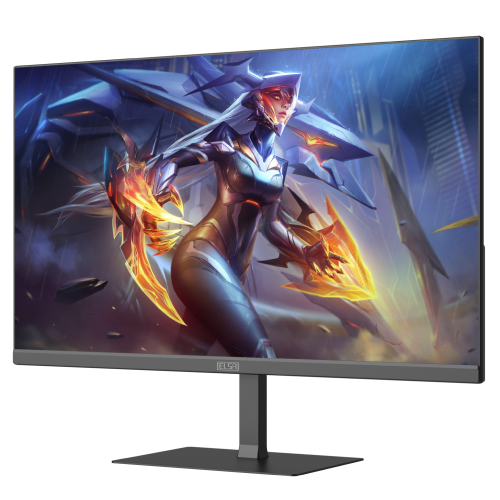 Монитор ELSA EA251Q